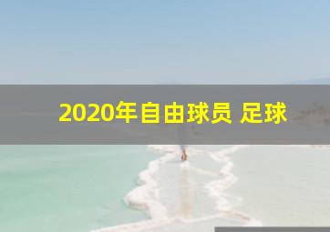 2020年自由球员 足球